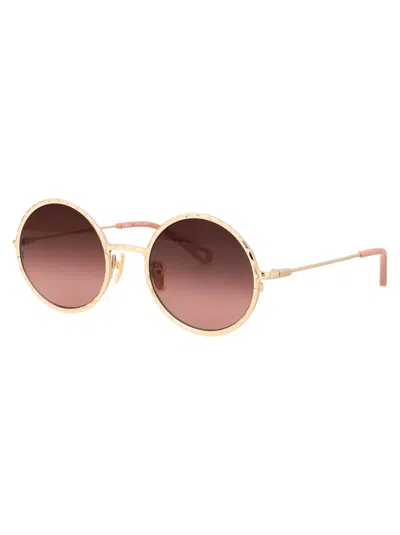 Chloé Acetate Gold Sunglasses In Brown