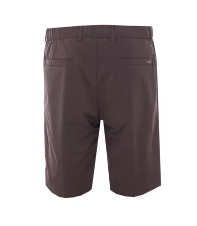 Herno Dark Brown Polyester Bermuda In Brown