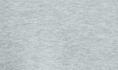 Driftwood Teddy Crewneck Sweatshirt In Gray