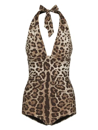Dolce & Gabbana Women Leopard Printed Sensitive Fabric One-piece Swimsuit In Brown