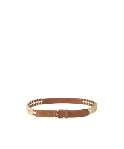 Pinko Chain Insert Belt Belts Brown In Brown
