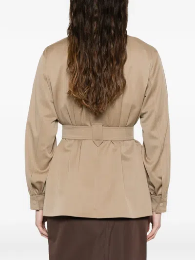 Max Mara Belted Fitted Jacket In Brown