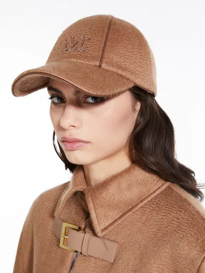 Max Mara Embroidered-logo Baseball Cap In Brown