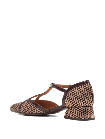Chie Mihara Hidrow T-strap Pumps In Brown
