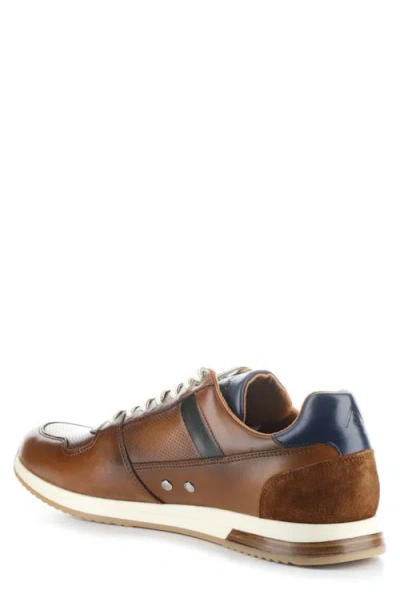 Ambitious 11240 Perforated Sneaker In Brown