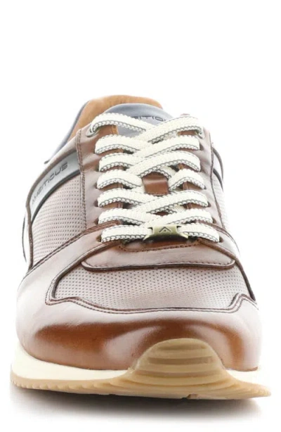 Ambitious 11240 Perforated Sneaker In Brown