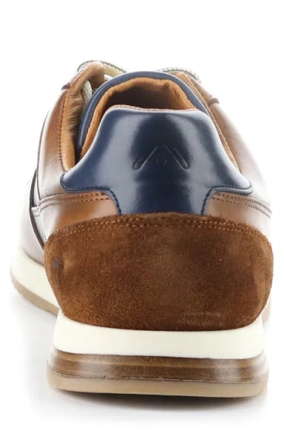 Ambitious 11240 Perforated Sneaker In Brown