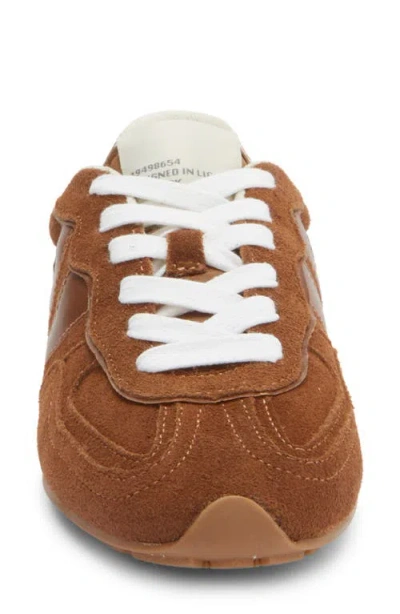 Steve Madden Abbi Sneaker In Multi