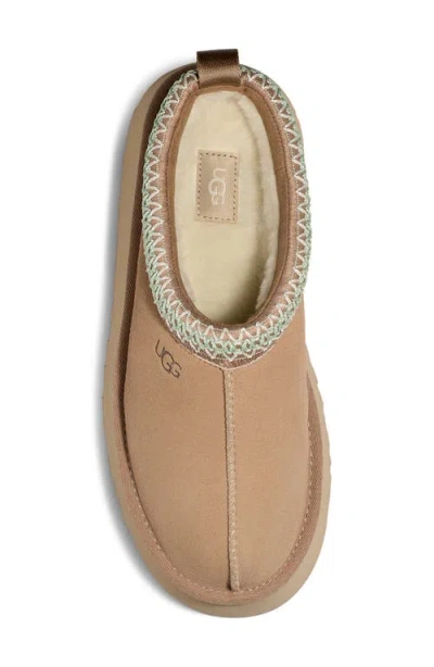 Ugg Tazz Beige Sabot With Embossed Logo In Suede Woman In Multi
