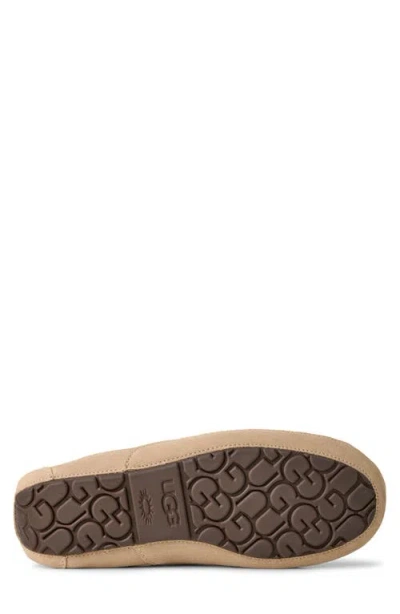 Ugg Ascot In Brown