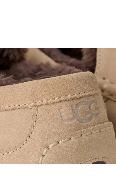 Ugg Ascot In Brown