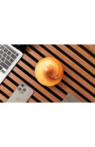 Gingko Large Astraglass Light In Multi