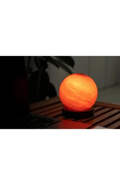 Gingko Large Astraglass Light In Multi