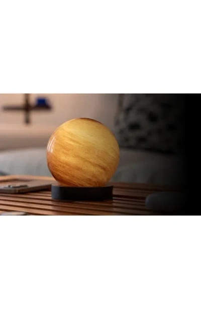 Gingko Large Astraglass Light In Multi