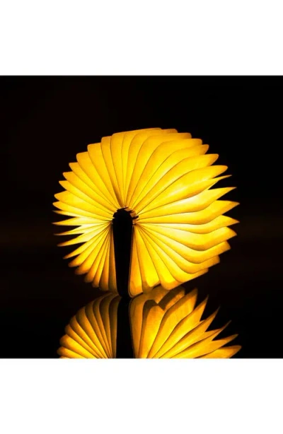 Gingko Smart Book Light In Brown