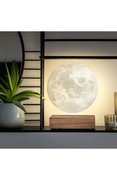 Gingko Smart Lamp In Gray