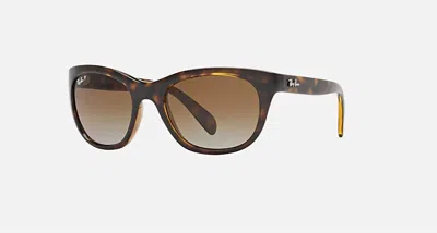 Ray Ban Ray In Multi