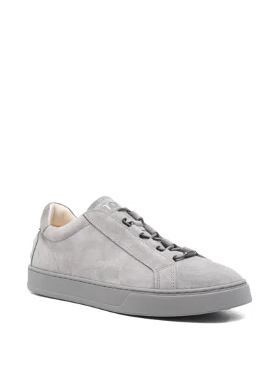 Tod's Lace Up Shoes In Suede Mouse Grey With Rubber Sole In Gray