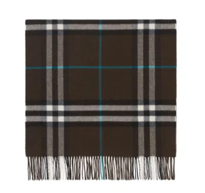 Burberry Stylish And Versatile Scarf In Brown