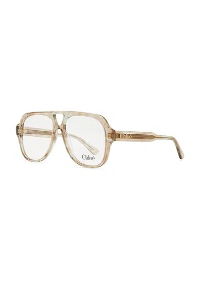 Chloé Shield Eyeglasses In Brown