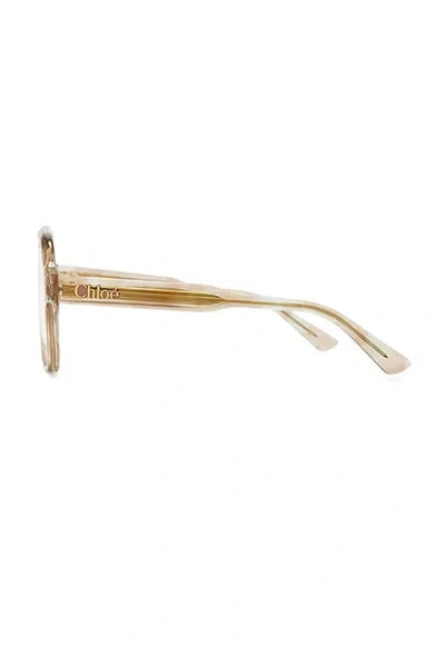 Chloé Shield Eyeglasses In Brown