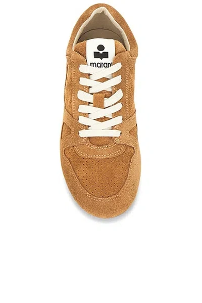 Isabel Marant Senny Perforated Suede Sneakers In Brown