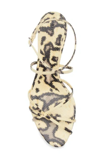 Proenza Schouler Uma Ankle Strap Sandals In Embossed Python Resin Multi In Multi