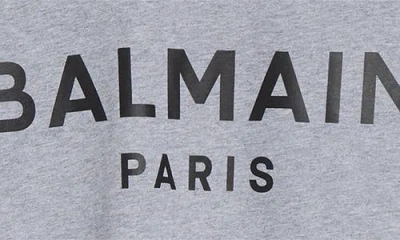 Balmain Printed Cotton T-shirt In Gray