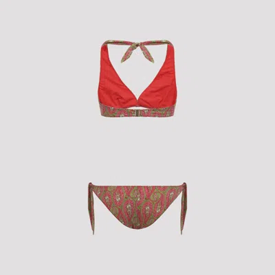 Etro Paisley-pattern Bikini In Multi