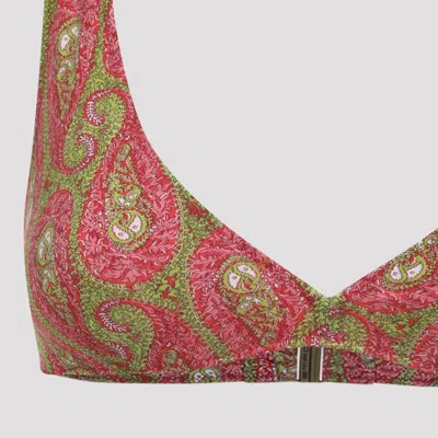 Etro Paisley-pattern Bikini In Multi