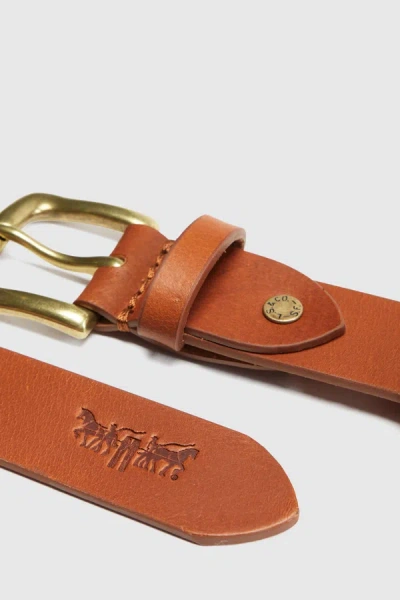 Levi's Addison Belt In Brown