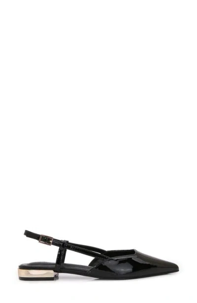 Berness Cass Pointed Toe Flat In Black