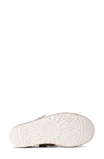 Ugg Minimel Sneakers In Brown
