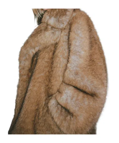 Darkpark Madison In Brown