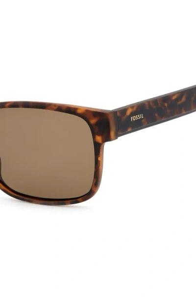 Fossil 58mm Rectangular Sunglasses In Brown