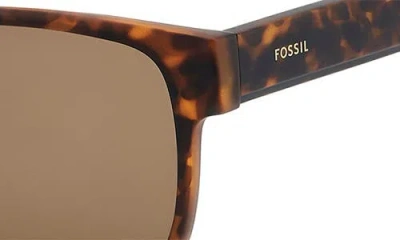 Fossil 58mm Rectangular Sunglasses In Brown