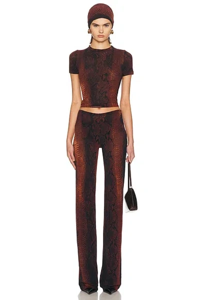 Jean Paul Gaultier Printed Python Mesh Trouser In Multi