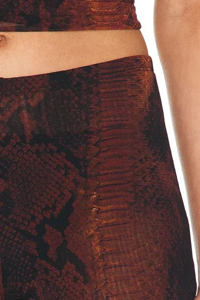 Jean Paul Gaultier Printed Python Mesh Trouser In Multi