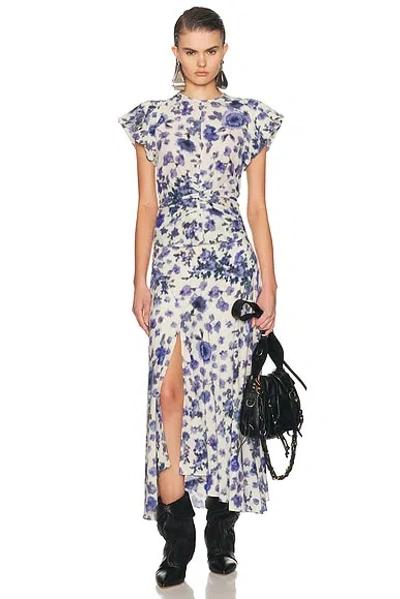 Isabel Marant Sakura Pleated Floral-print Silk-blend Midi Skirt In Blue