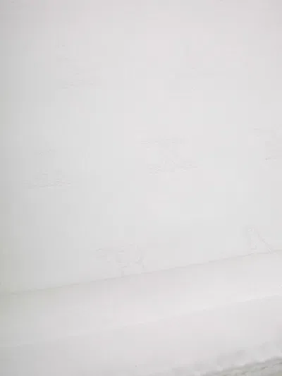 Max Mara Raspberry Scarf Accessories In White