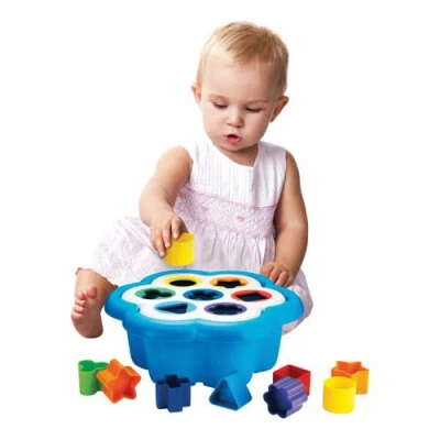 Quercetti Daisy Shape Sorter In Multi