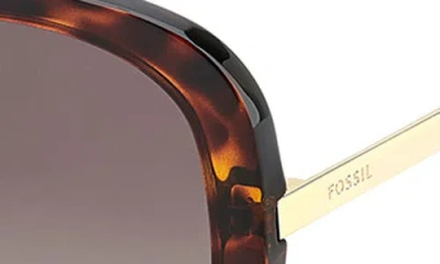 Fossil 56m Gradient Oval Sunglasses In Brown