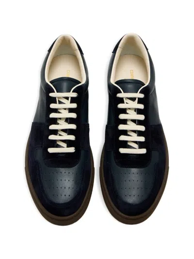 Common Projects Bball Slim Sneakers In Blue