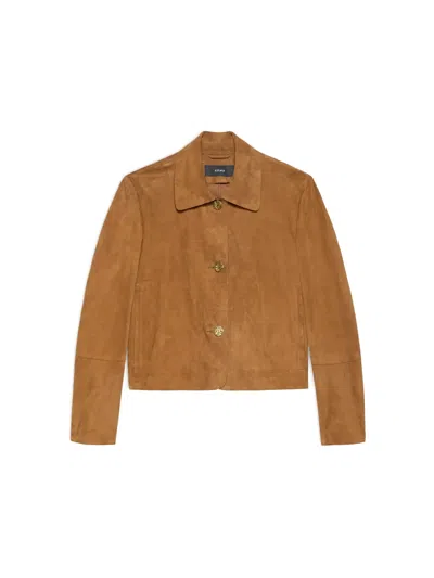 Arma Buttoned Leather Jacket In Brown