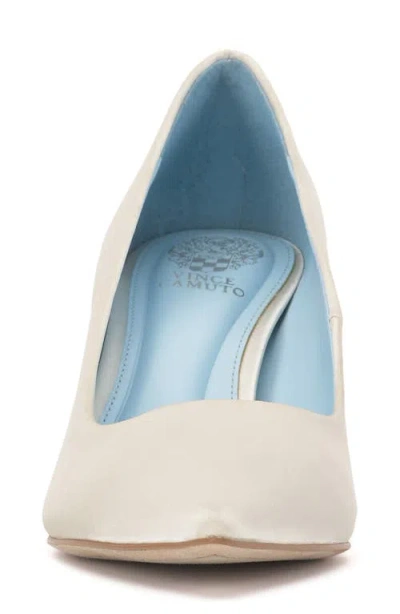 Vince Camuto Kehlia Pointed Toe Pump