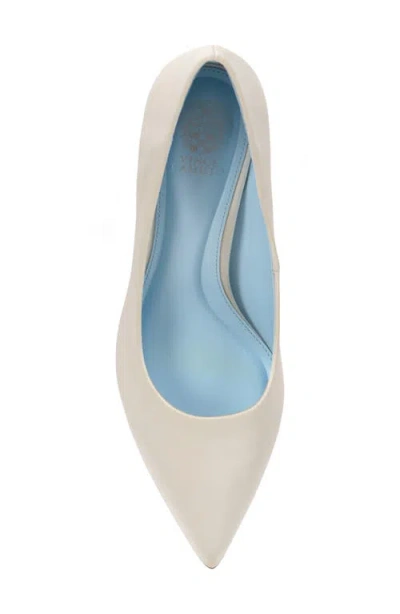 Vince Camuto Kehlia Pointed Toe Pump