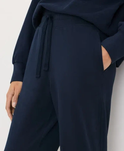 Pact Cloudknit Jogger In Blue