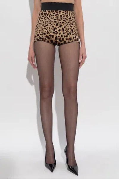 Dolce & Gabbana Leopard-print Shorts In Brown