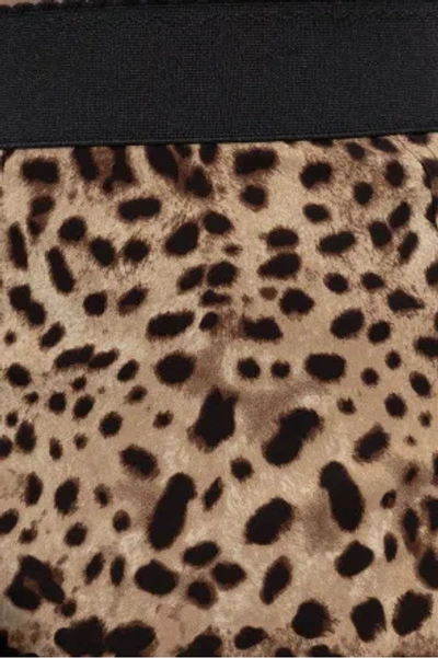 Dolce & Gabbana Leopard-print Shorts In Brown