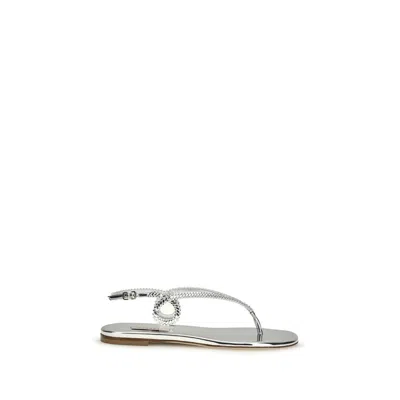 Casadei Silver Calf Leather Bos Taurus Flat Sandals In Gray